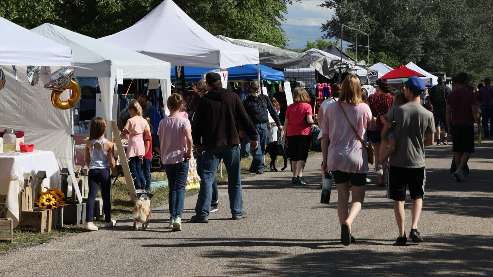 Craft fair booths